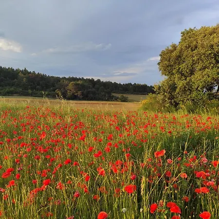 Prázdninový dům A La Campagne, Proche Carcassonne *