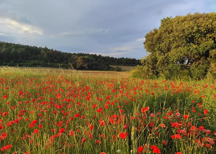 Casa vacanze à La Campagne, Proche Carcassonne *